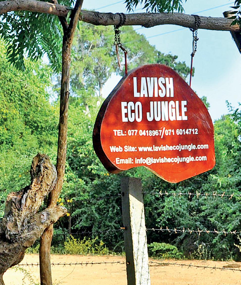 'LAVISH ECO JUNGLE'