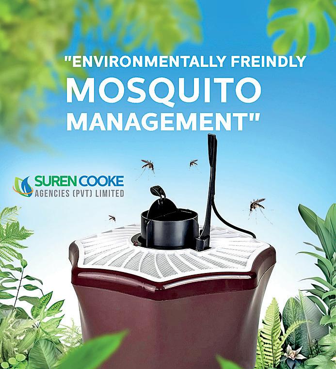 A greener path to eradicating mosquitoes, rodents and termites