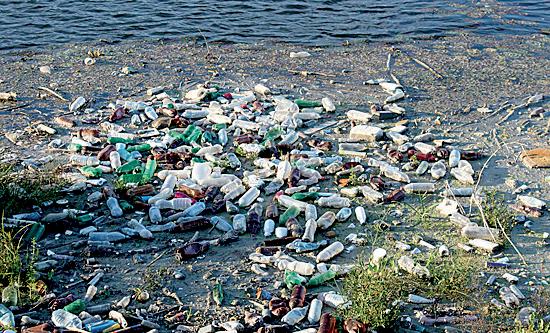 PLASTIC POLLUTION: CAUSES AND EFFECTS