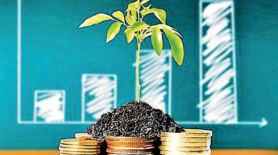 Sri Lanka's unit trust industry sees widening investor base despite asset value contraction