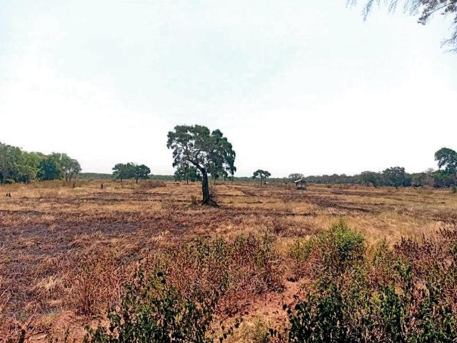 ANDARAWEWA FARMERS FACE MAHAWELI EVICTION