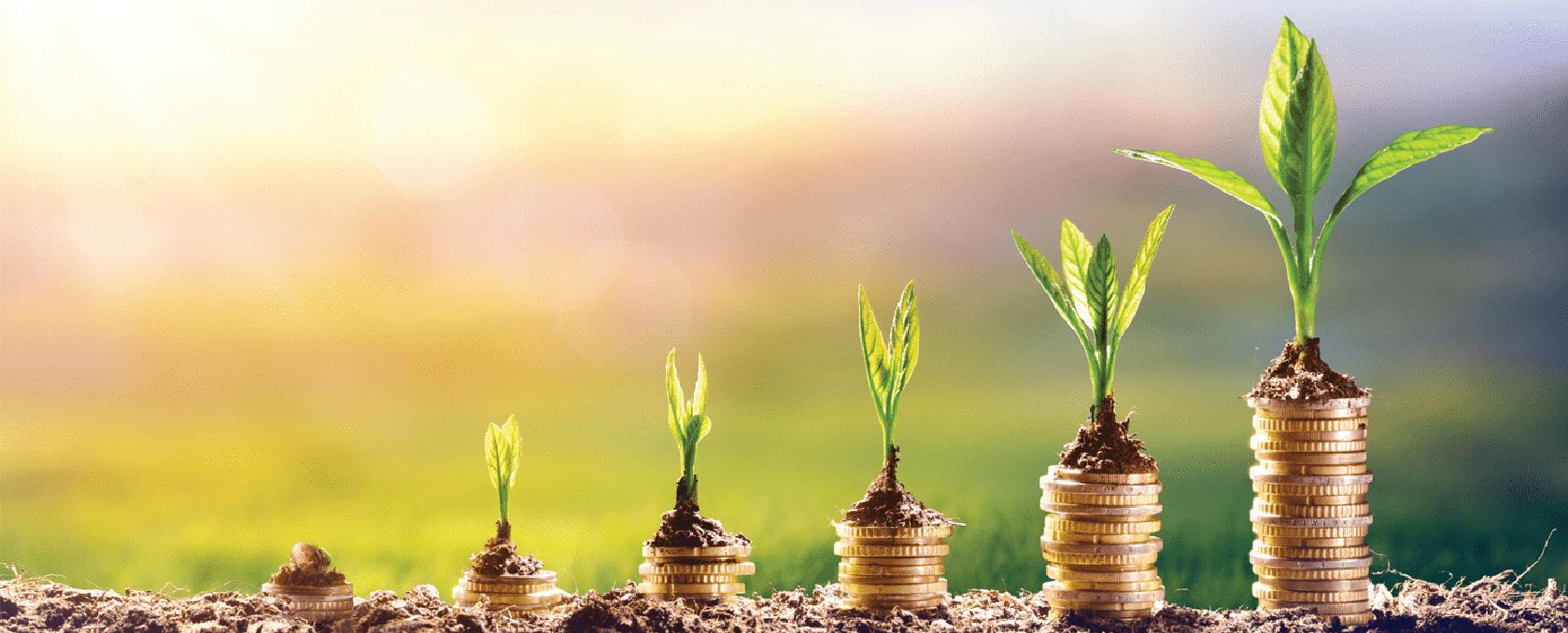 Making your money work