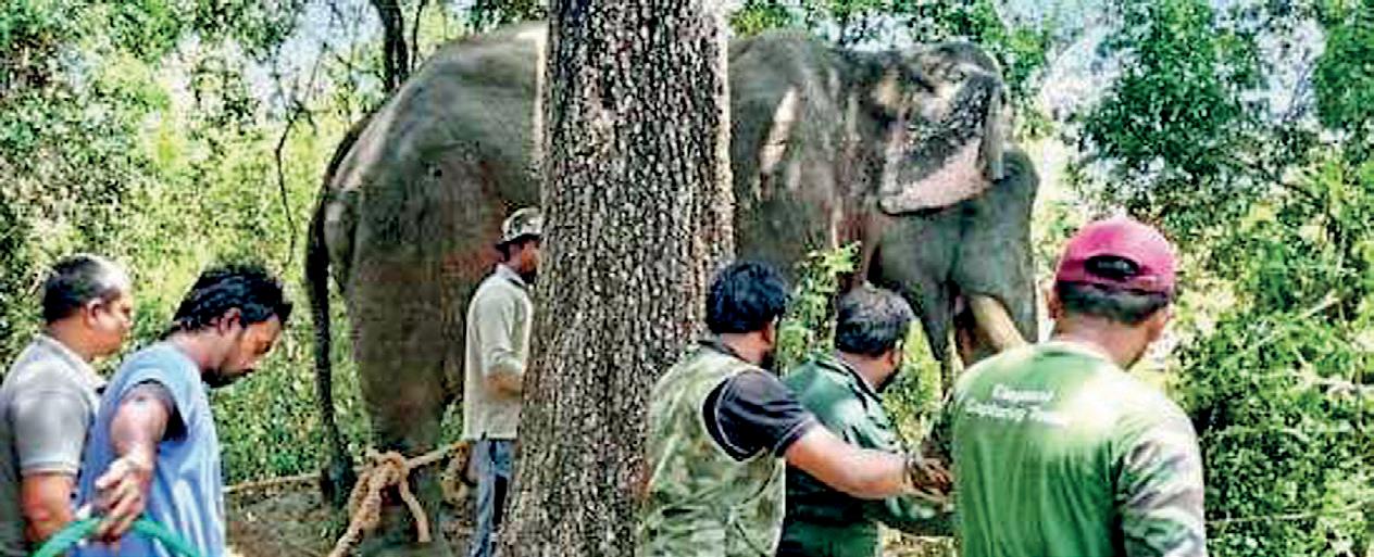 Encouraging mob violence against wildlife officers CALLOUS POLITICAL PRIORITIES PUT FRONTLINE DEFENDERS AT RISK