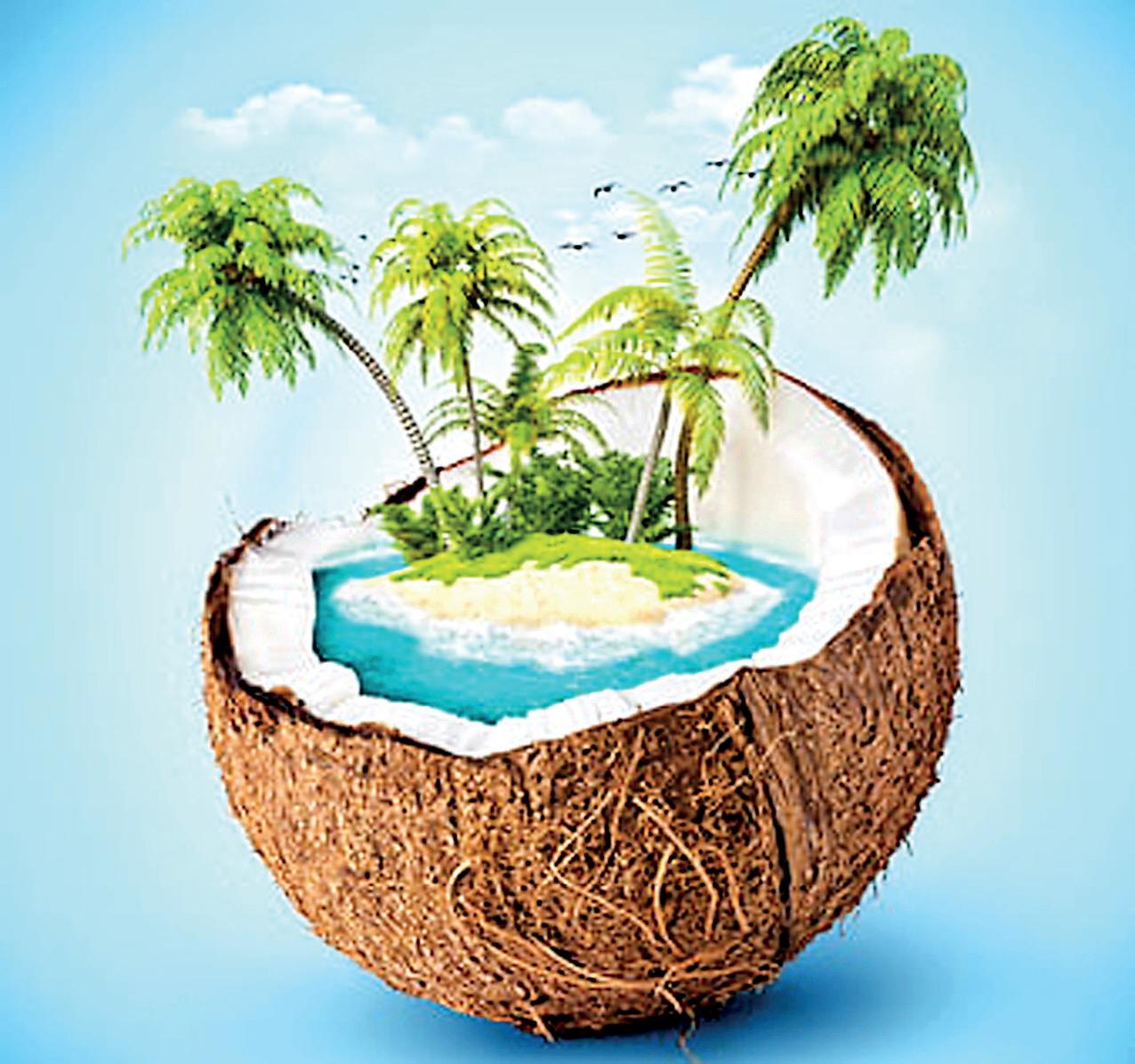 Recognising Northern coconut triangle as a key step in Sri Lanka’s socio-economic growth trajectory