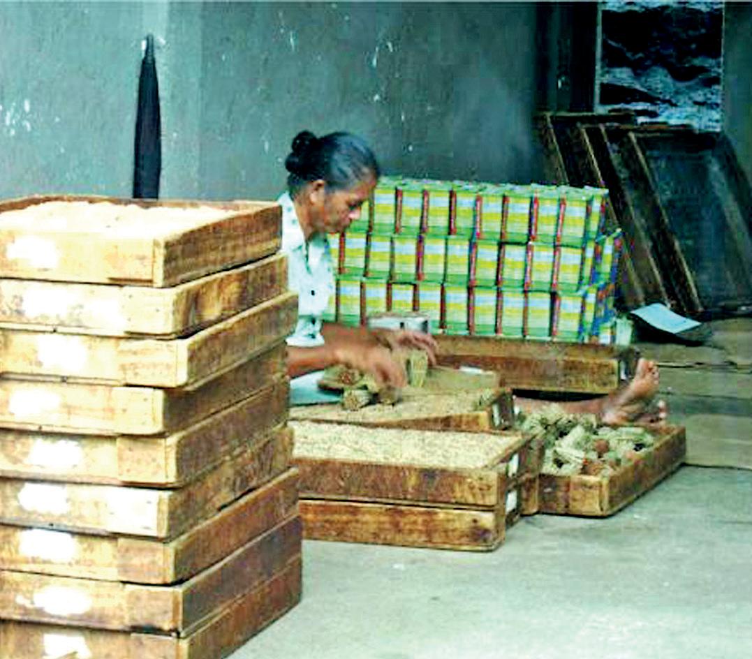 Falling beedi revenue due to lack of cohesive strategy