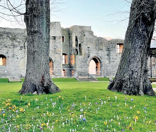 A GLIMPSE OF MIDDLE ENGLAND...