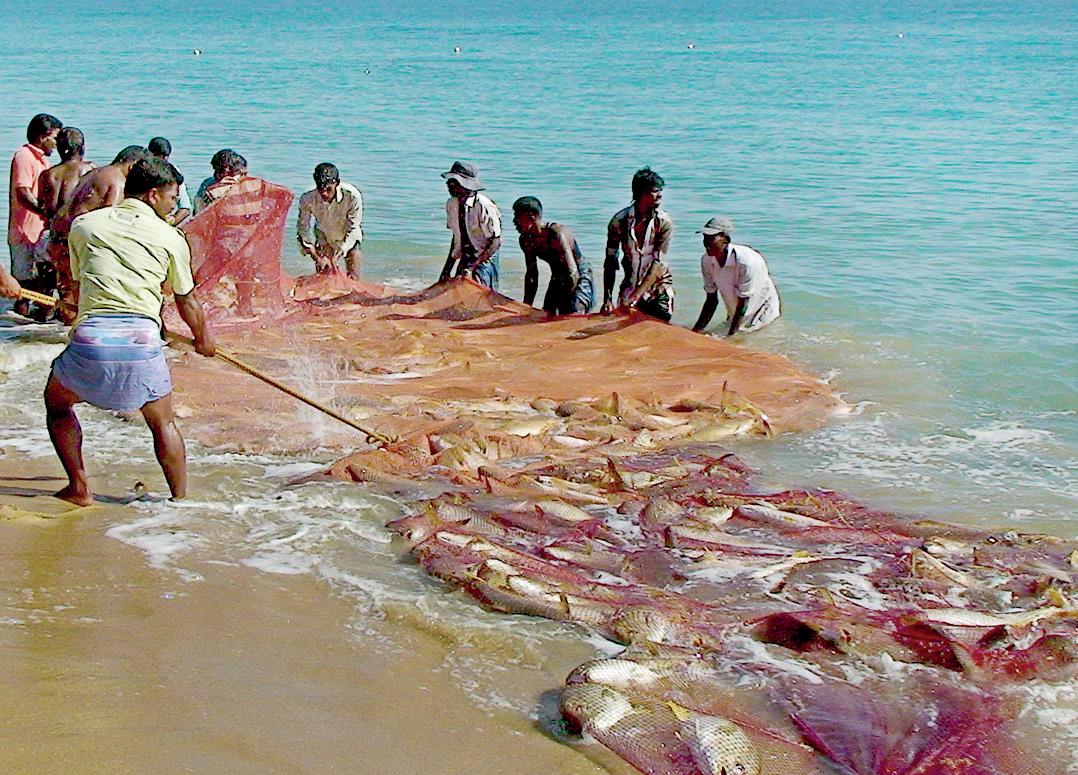 BAY OF BENGAL COUNTRIES CELEBRATE SMALL-SCALE FISHERIES ON WORLD FISHERIES DAY