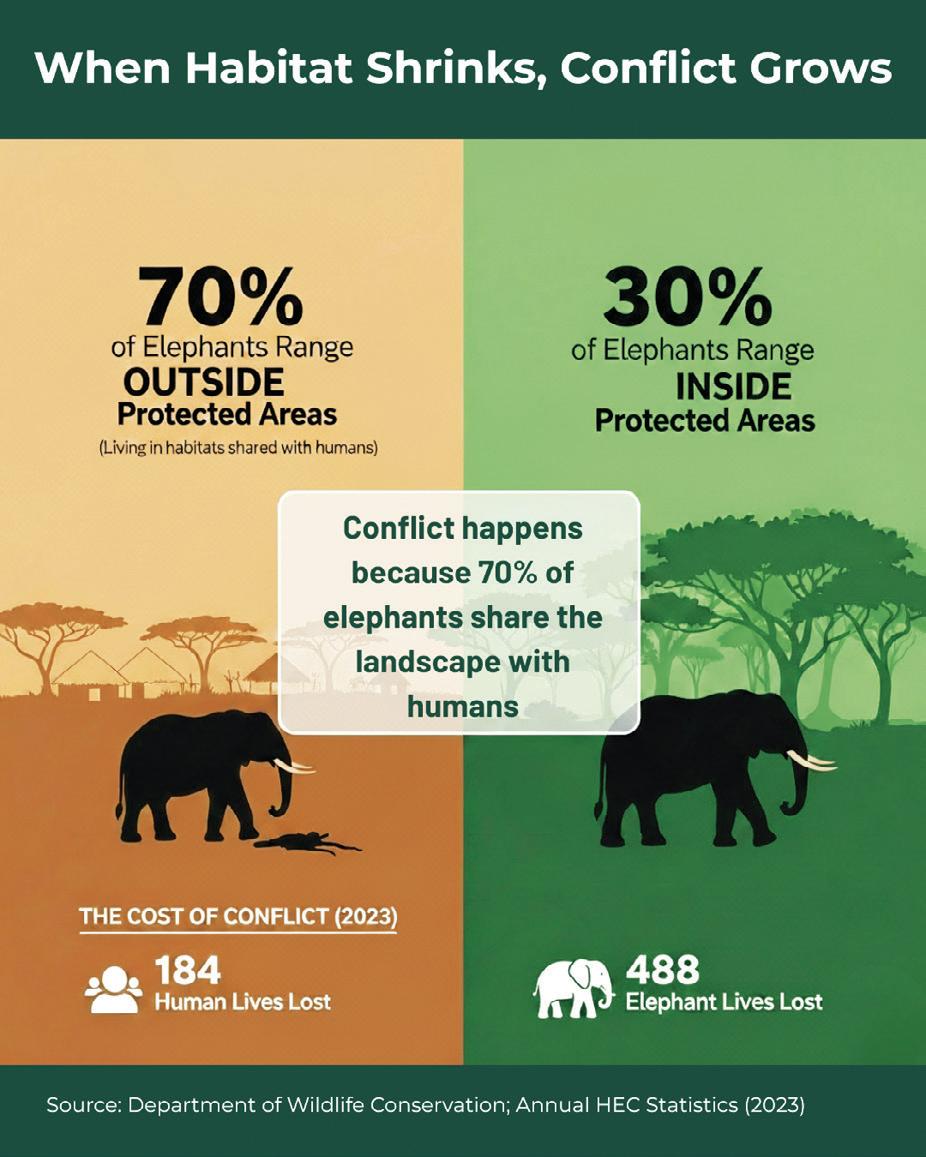TIME TO RETHINK MITIGATION APPROACH REGARDING HUMAN-ELEPHANT CONFLICT