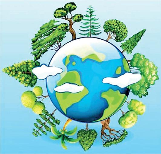 Sri Lanka's emissions growth outpaces regional peers in 2024