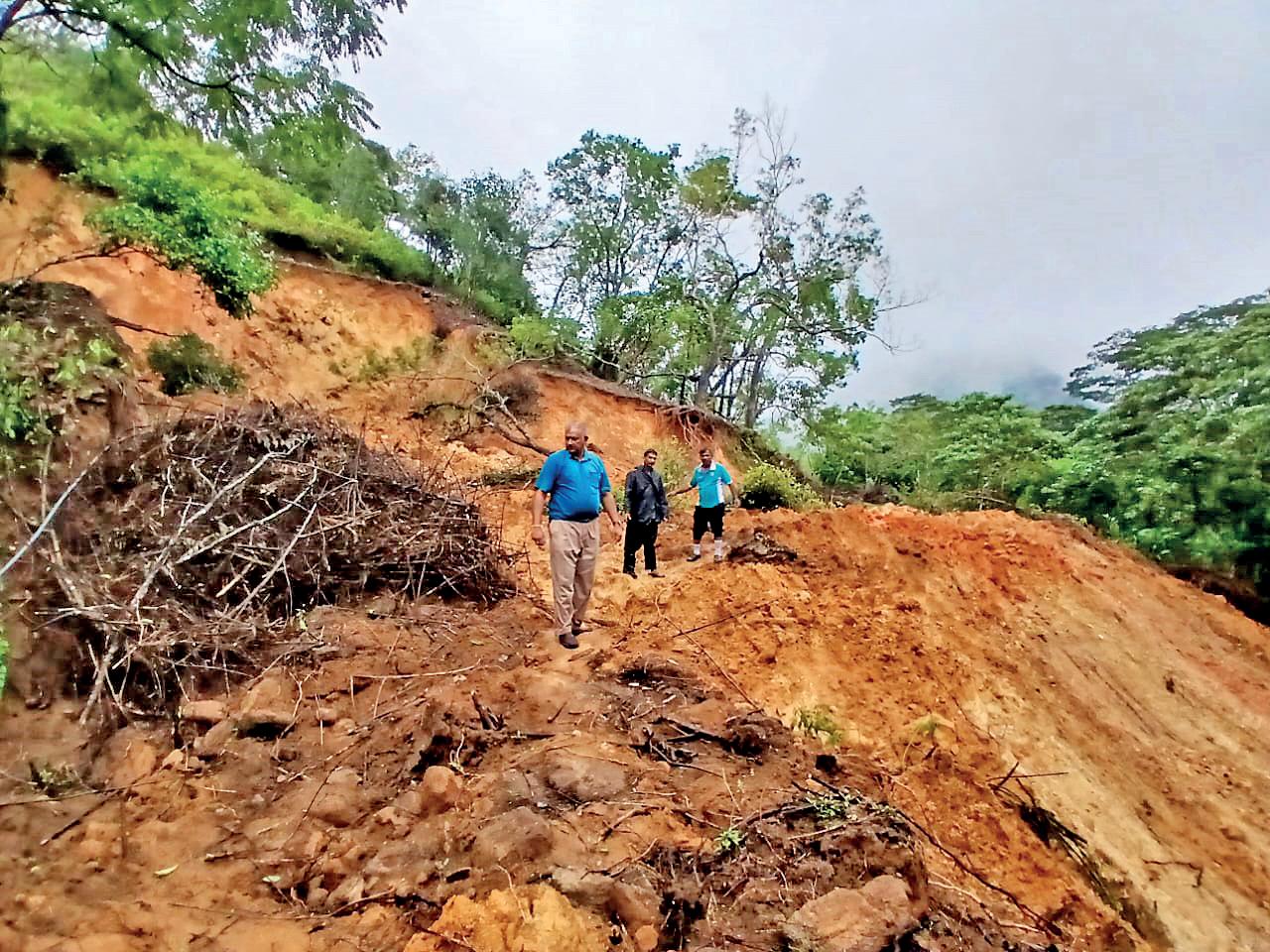 PROPOSED ROAD TO PROMOTE TOURISM THREATENS PROTECTED KNUCKLES FOREST