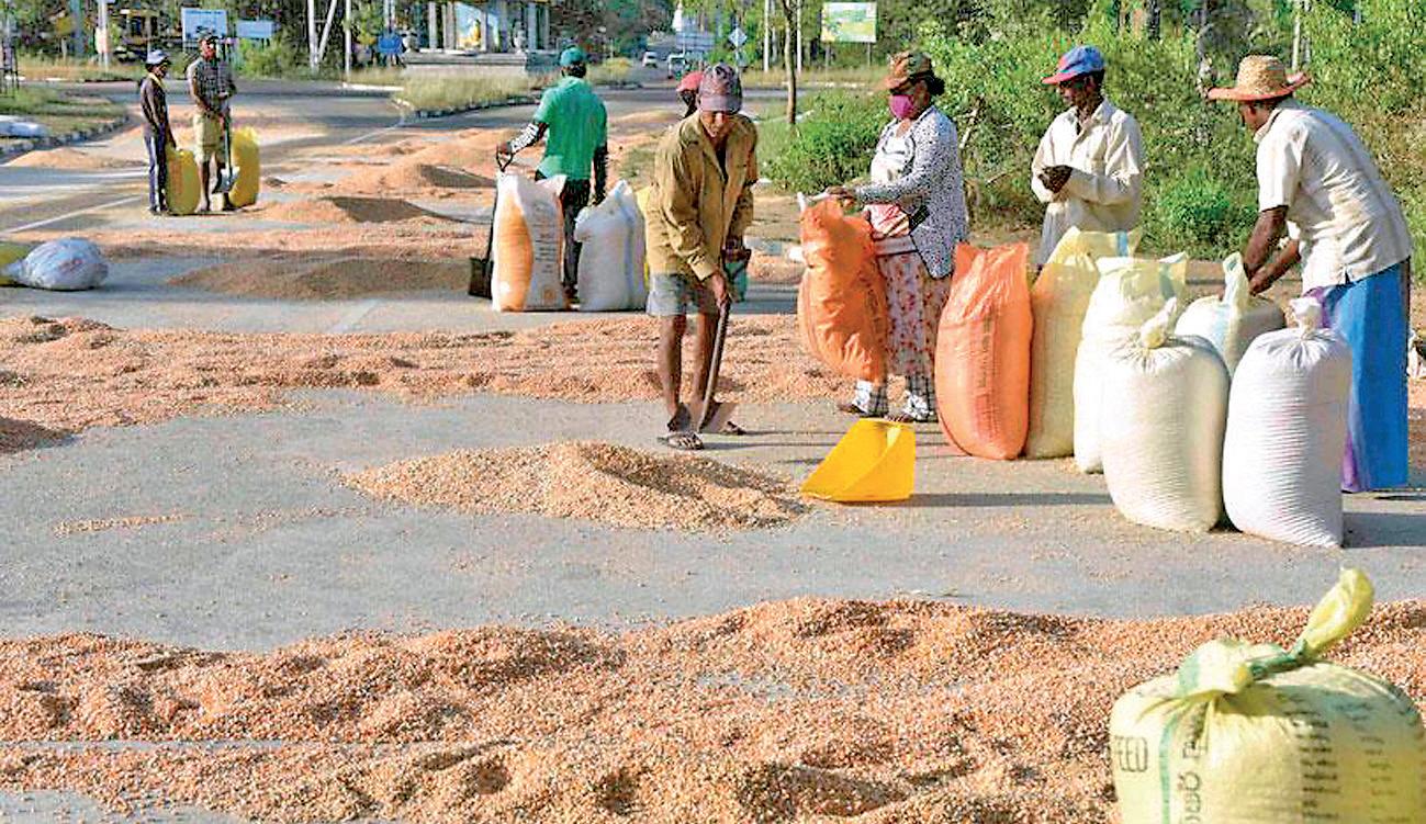 Held to Ransom: HOW POLICY FAILURE IS POISONING SRI LANKA'S POULTRY INDUSTRY, CONSUMERS
