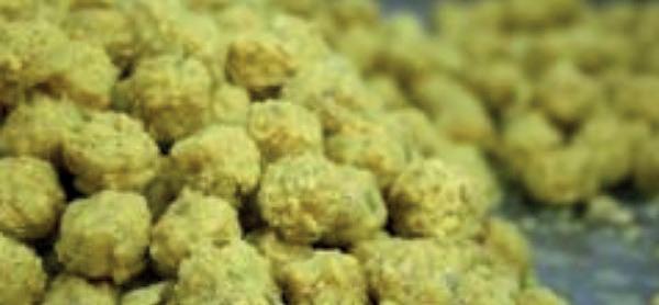 திருப்பதி லட்டு விவகாரம்: நால்வர் கைது