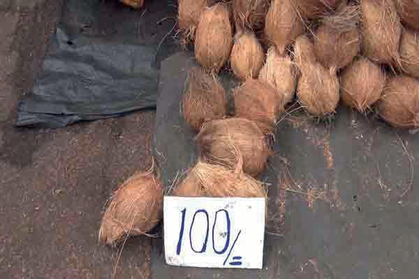 தேங்காய் விலை குறைகிறது