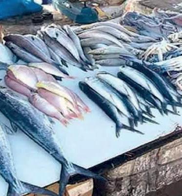 போதைப்பொருள் வியாபாரி கைது