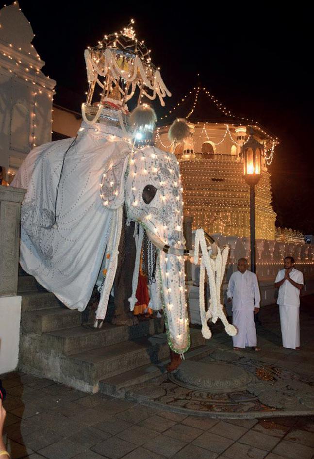 எசல பெரஹெராவில் டிரோன் பறக்க தடை