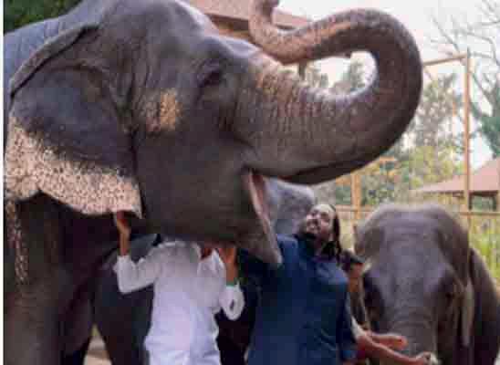 ‘வந்தாரா’ விவகாரம்: முகேஷ் அம்பானியின் மகனுக்கு சிக்கல்