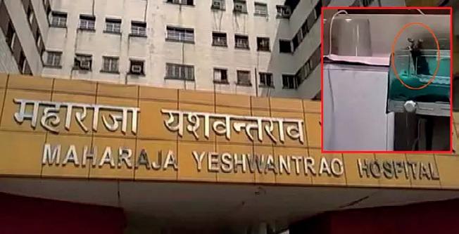 அவசர சிகிச்சை பிரிவில் இருந்த குழந்தைகள் எலி கடித்து பலி