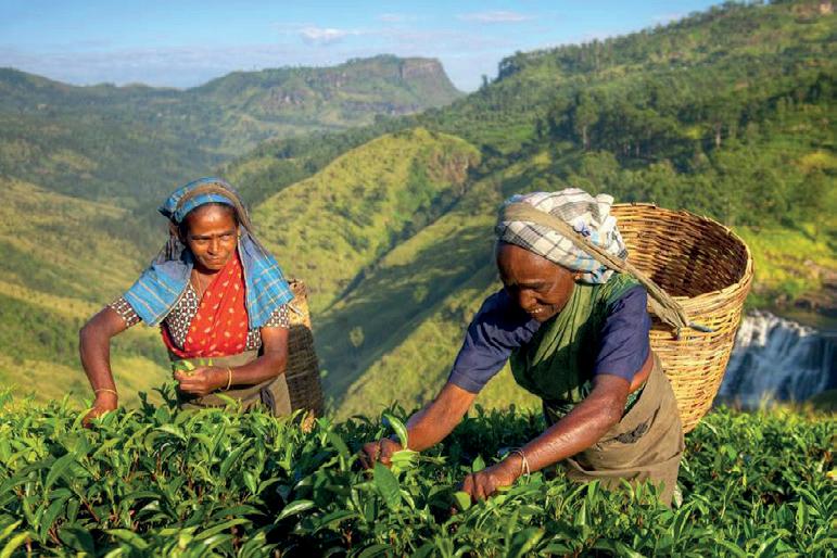 தொழிலாளர்களின் சம்பளம்: அவகாசம் வழங்கியது அரசாங்கம்