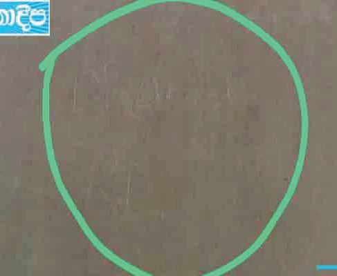 சீகிரியாவில் பெயரை எழுதிய பெண் கைது