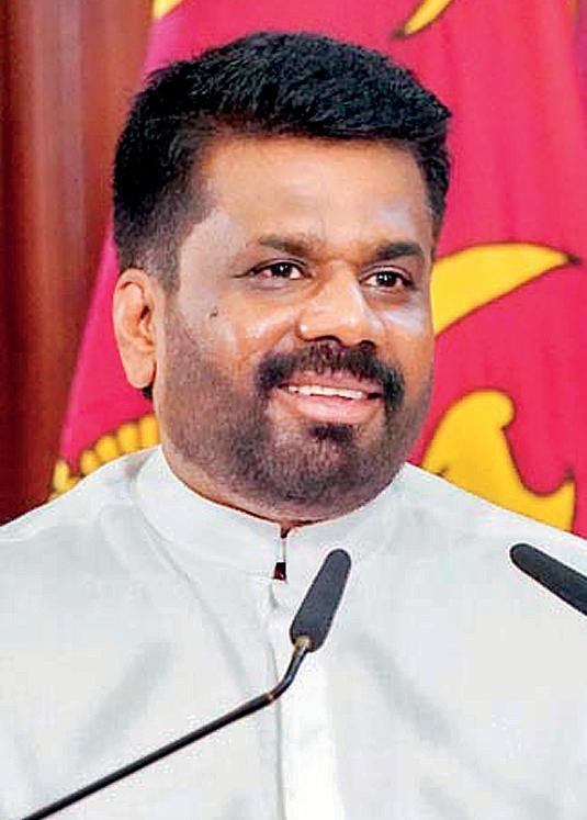 Using a cannon to shoot a sparrow: Was Anura taken for a ride?