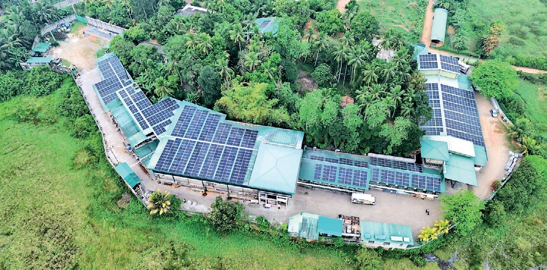 Leema Creations embraces solar energy