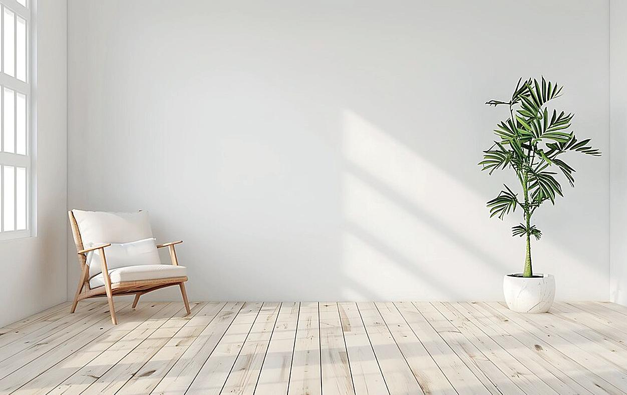 Power of minimalism in a consumer society