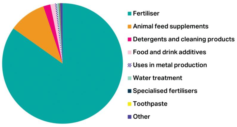 Phosphate rocks and future superpowers