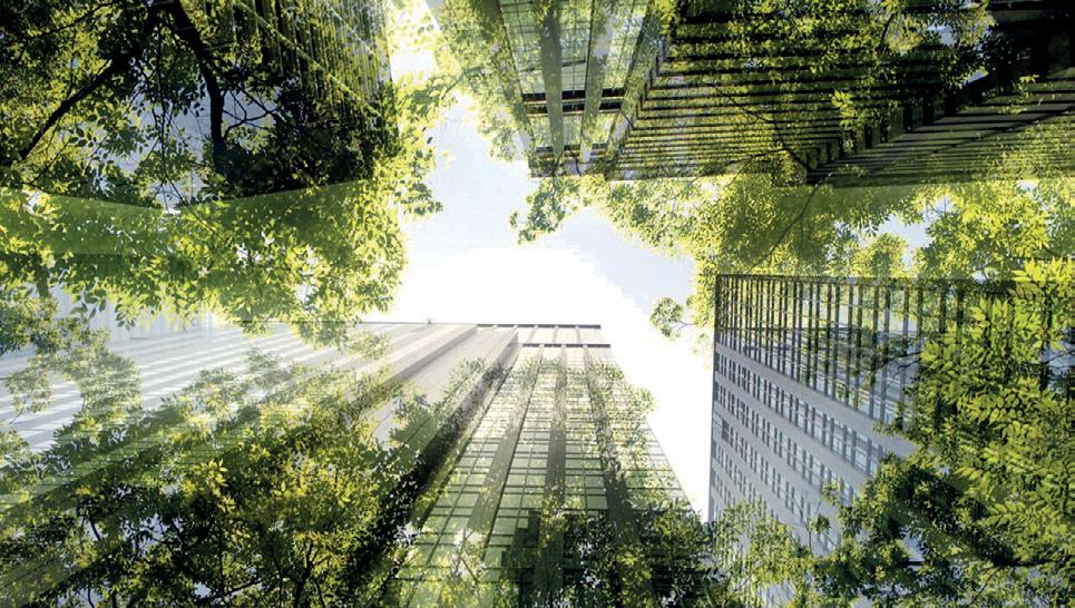 Financing the future: Sri Lanka embraces sustainable finance through GSS+ products