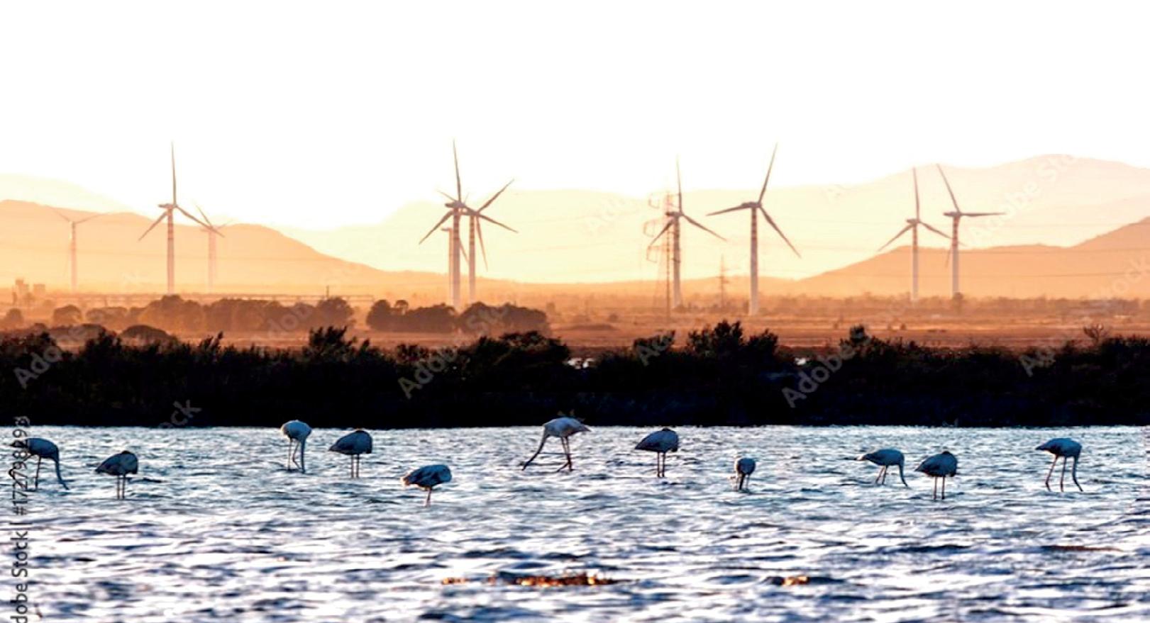 Wind power: Essential element of renewable energy mix for Sri Lanka