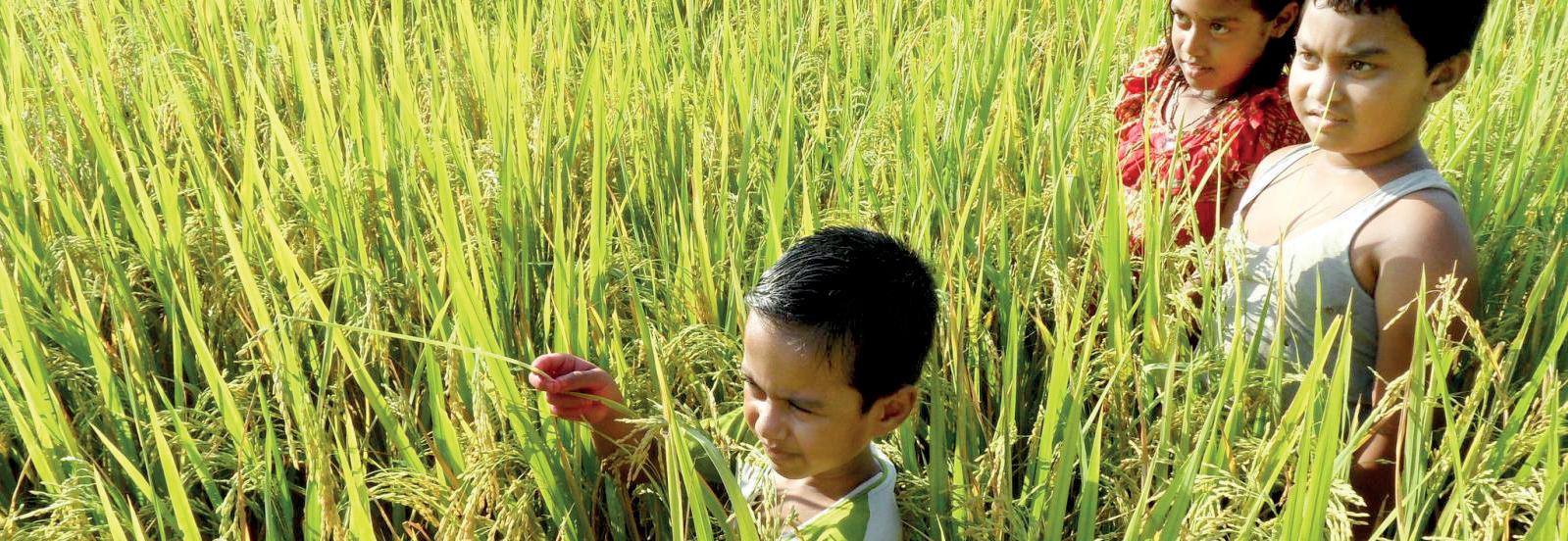 How Asia can revolutionise food systems—before it's too late