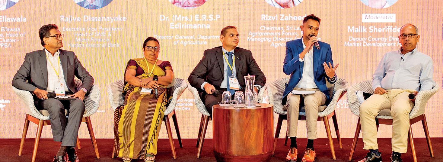 'Ripe for Innovation' symposium explores future of Sri Lanka's TomEJC mango sector