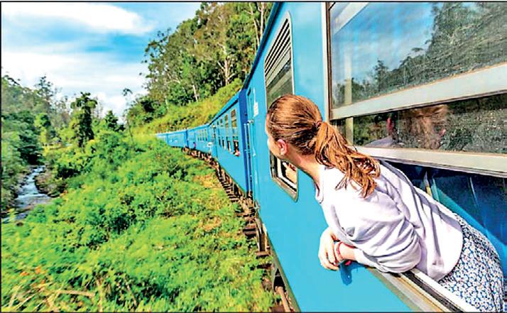 Unlocking Sri Lanka's tourism potential through specialist guides