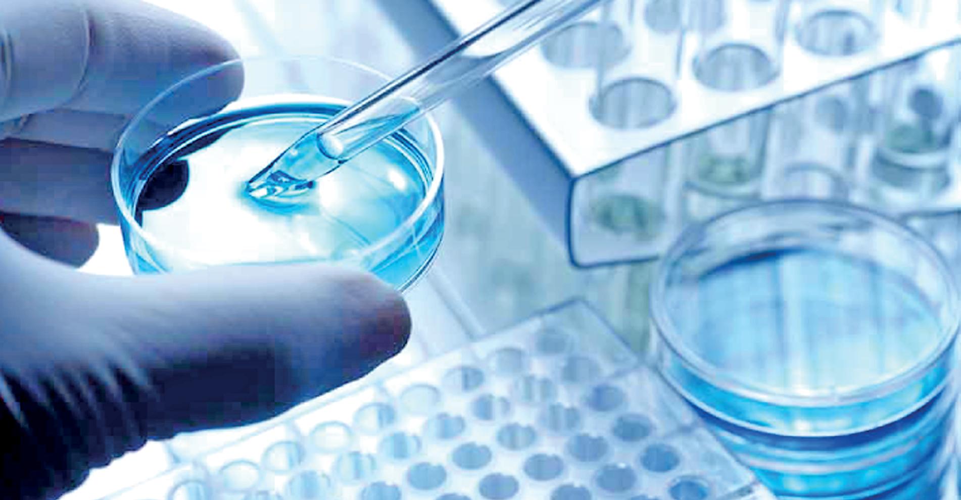 Bottleneck in drug testing: Sri Lanka's bioequivalence challenge