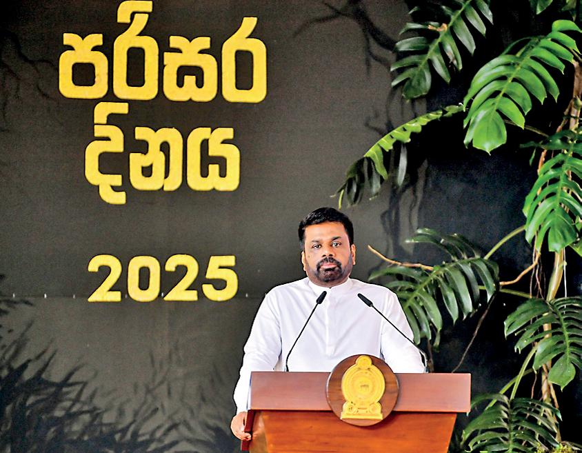 President calls for end to political patronage in environmental destruction