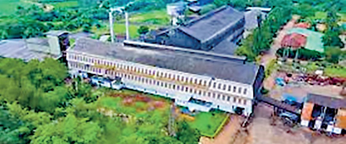 Debacle in local sugar industry