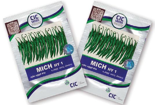 CIC Seeds breaks new ground with export of hybrid chilli seeds to Bangladesh