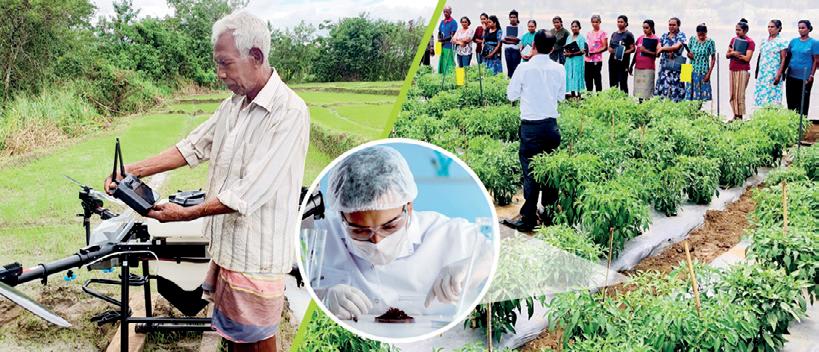 DIMO Agribusinesses elevates farmers into agripreneurs