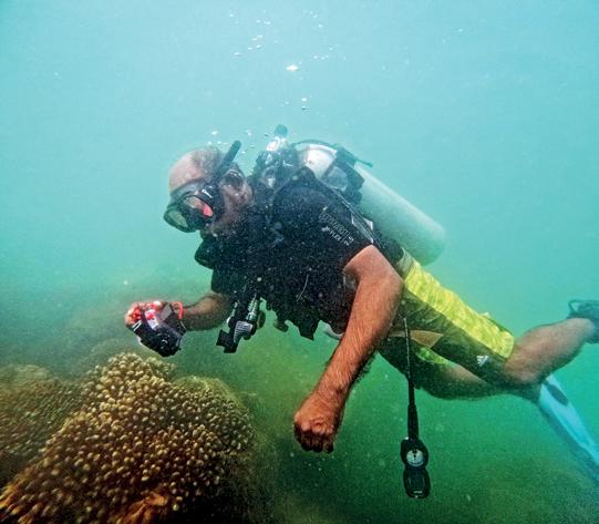35% live coral turns Hambantota Port into model for marine sustainability