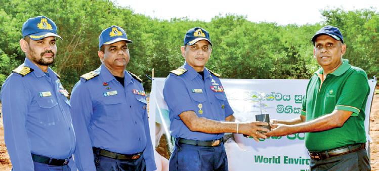 Link Natural continues to champion sustainability for greener Sri Lanka