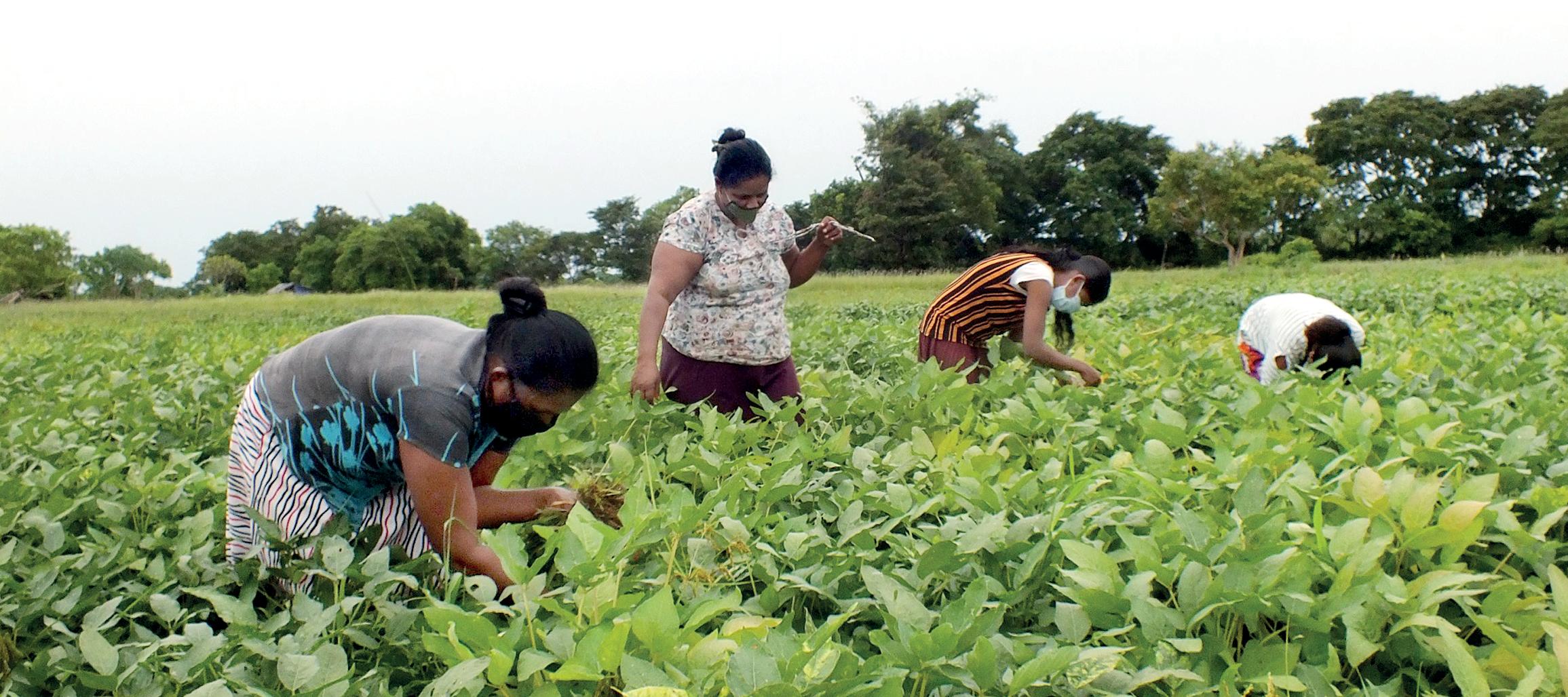 Multi-dimensional approach to lift status of rural sector: Praja Shakthi program in context