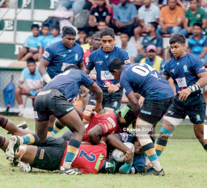 Plate still hunted by Trinity