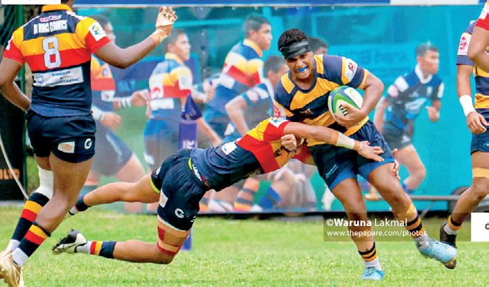 Lions shed their Manes to sport Cubs Rugby
