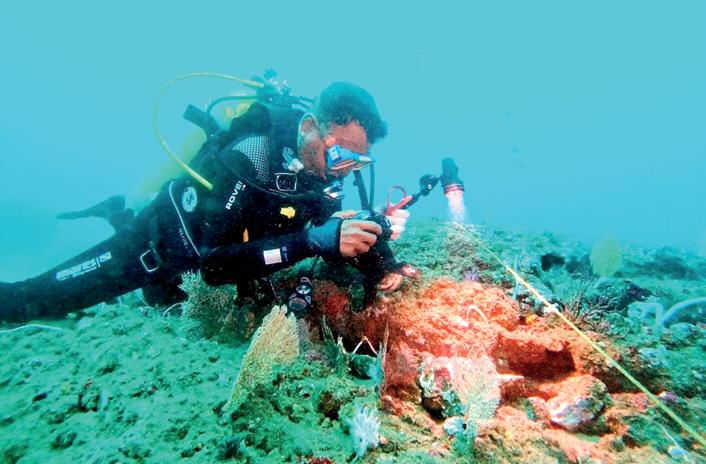 Godawaya Shipwreck Exhibition at BMICH kicks off on 3 Sept.