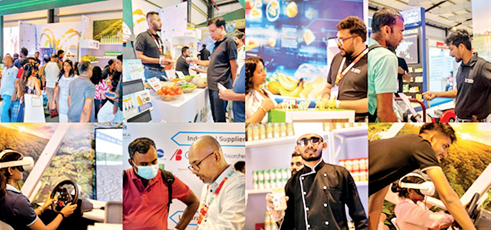 Hayleys Agriculture showcases immersive innovation at Profood, Propack & Agbiz 2025