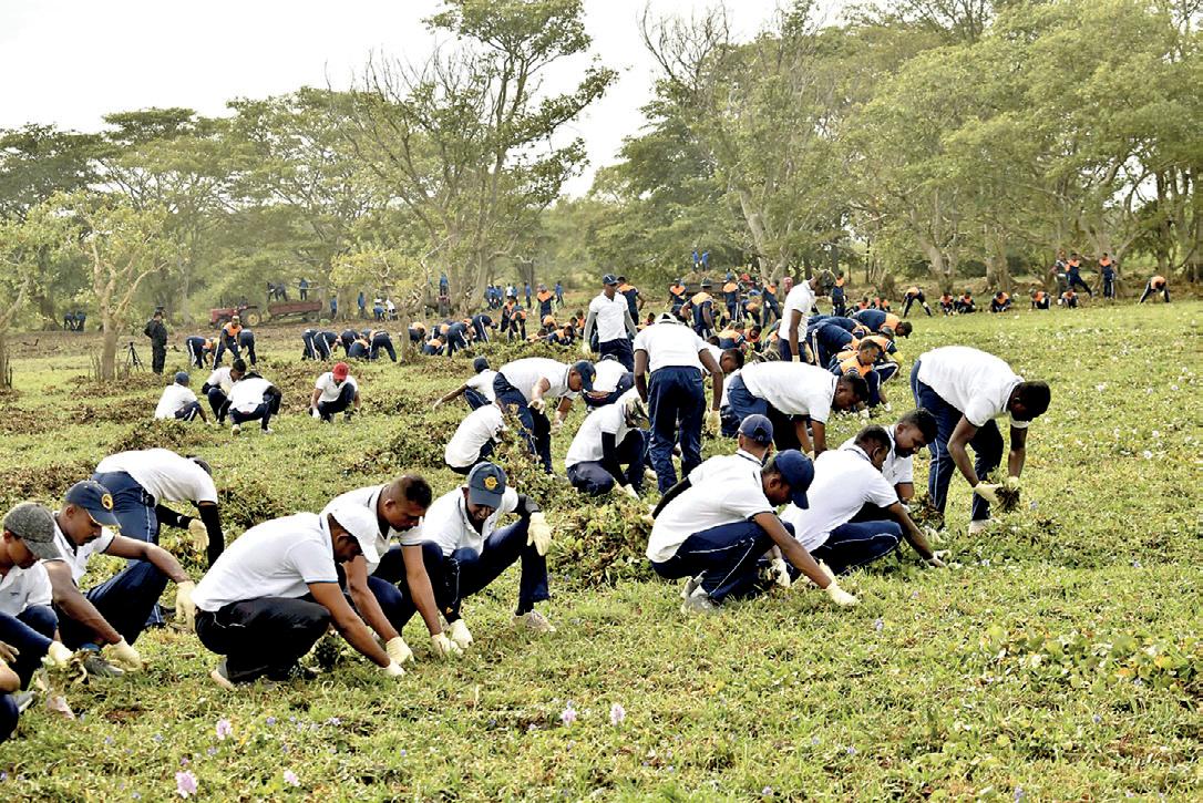 ‘Kala Wewa Back to the Elephants’ project a success