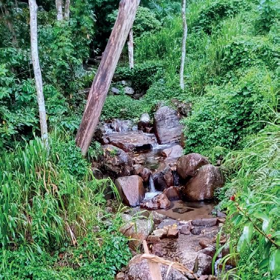 Appreciation of biodiversity in Sri Lanka