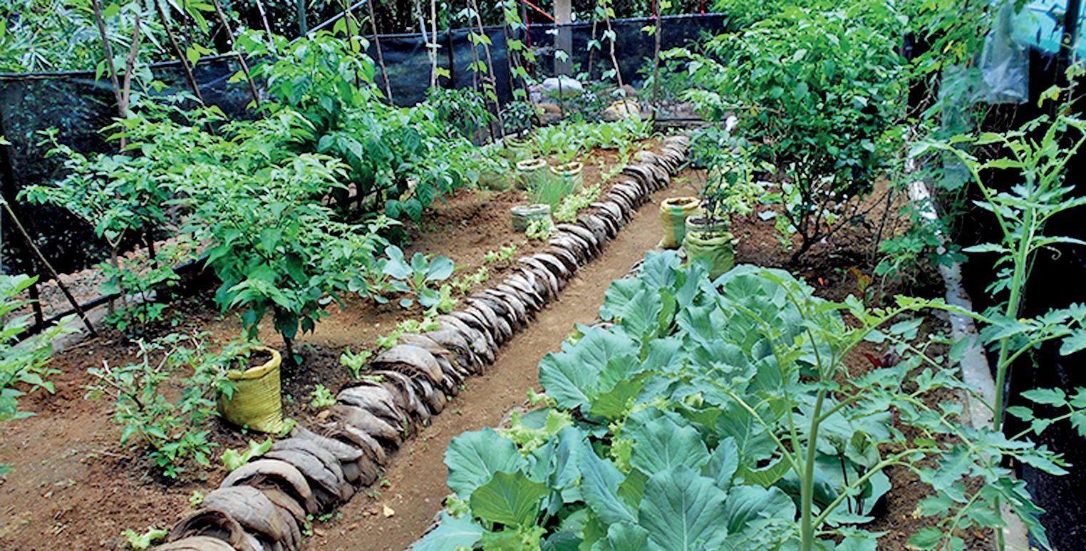 Right way of living - in harmony with nature