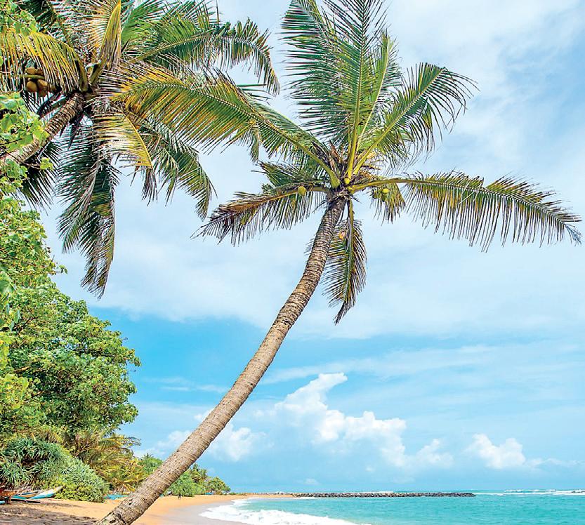 SITA brings advanced digital travel solutions to support Sri Lanka’s tourism growth ambitions