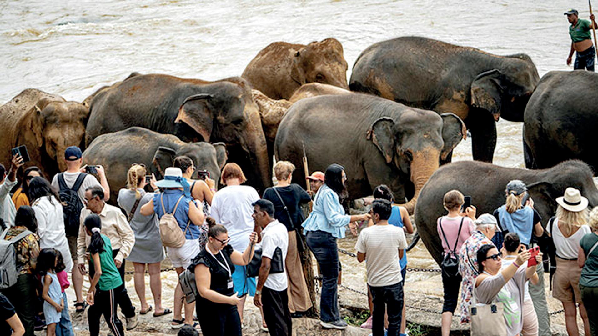 Sri Lanka’s tourism at crossroads: Wake-up call on World Tourism Day