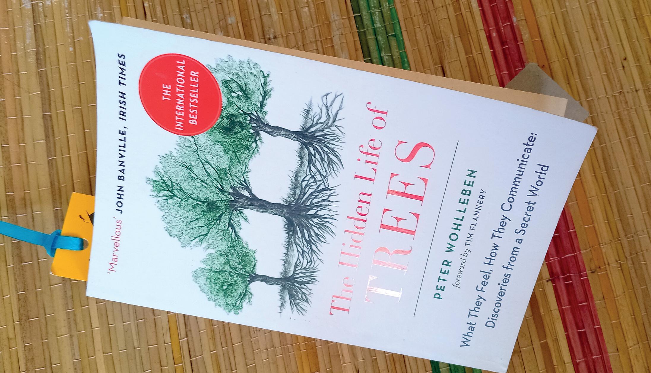 How trees compare to humans in life values - Part 1